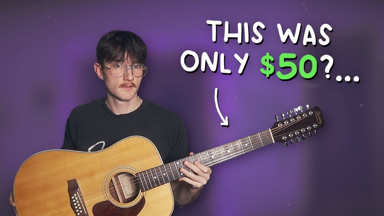 I Got a 12-String Guitar for JUST $50! (Ibanez PF10-12)