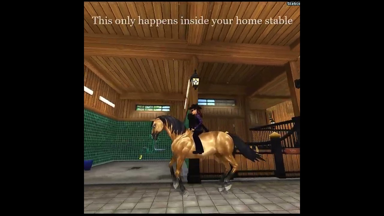 Canter glitch (star stable)