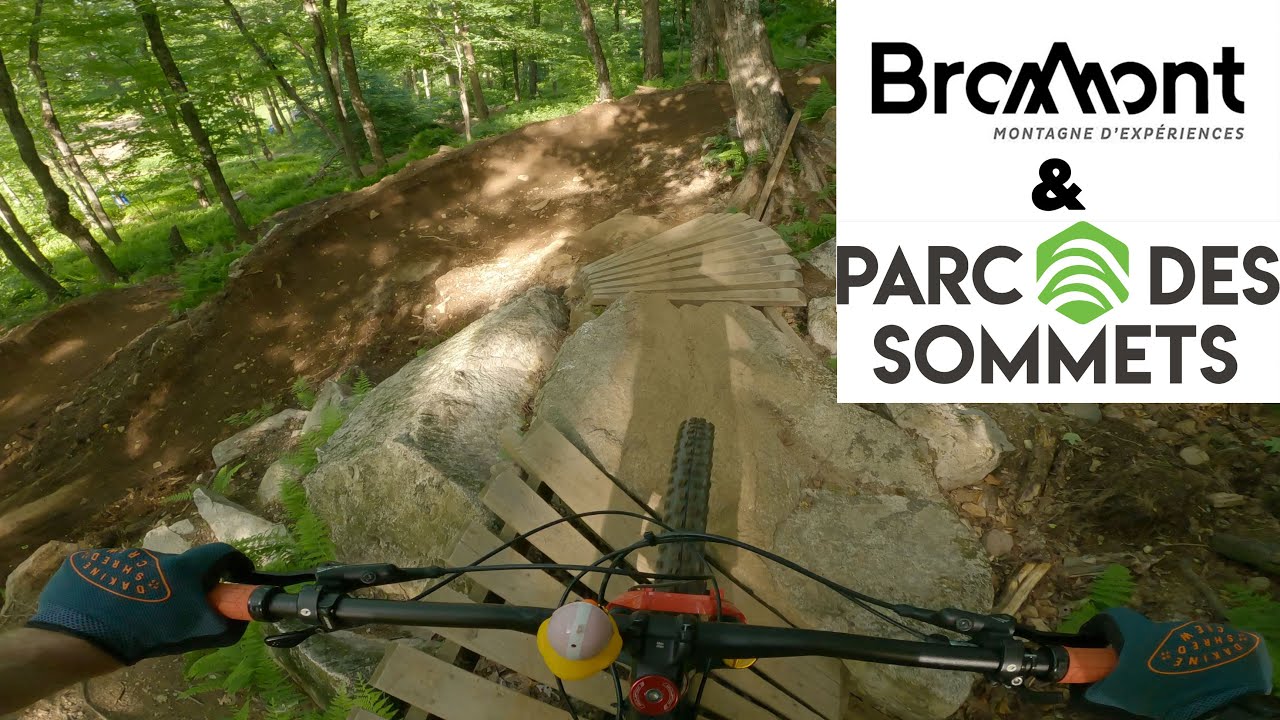 I'll Need a Lawyer for that Case! Violence Gratuite, Rouche and more of Bromont & Parc des Sommets!