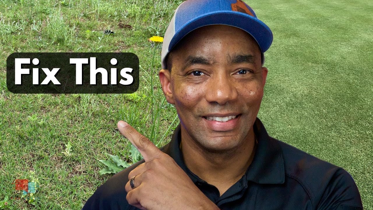 How to FIX your UGLY LAWN in 4 Easy Steps