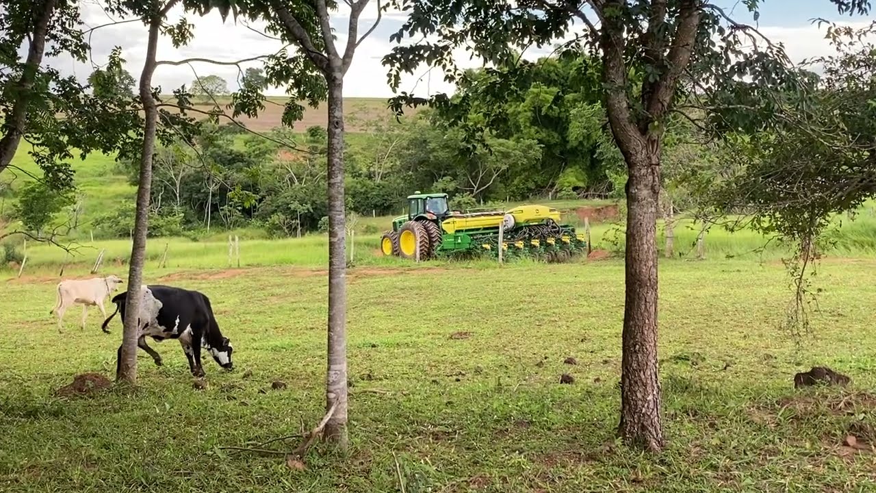 Bom dia para todos vocês 👨‍🌾🙌