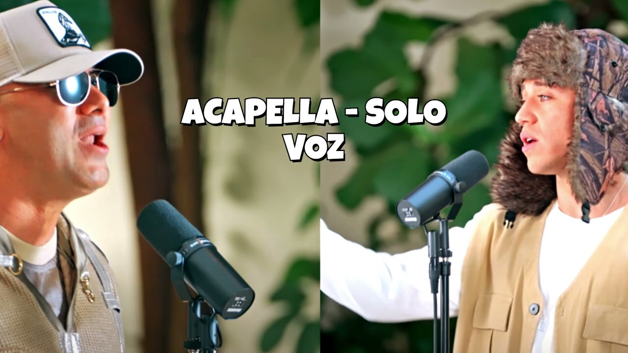 Paulo Londra, Wisin, Big One - Flashbacks (ACAPELLA - Solo Voz) CROSSOVER #9