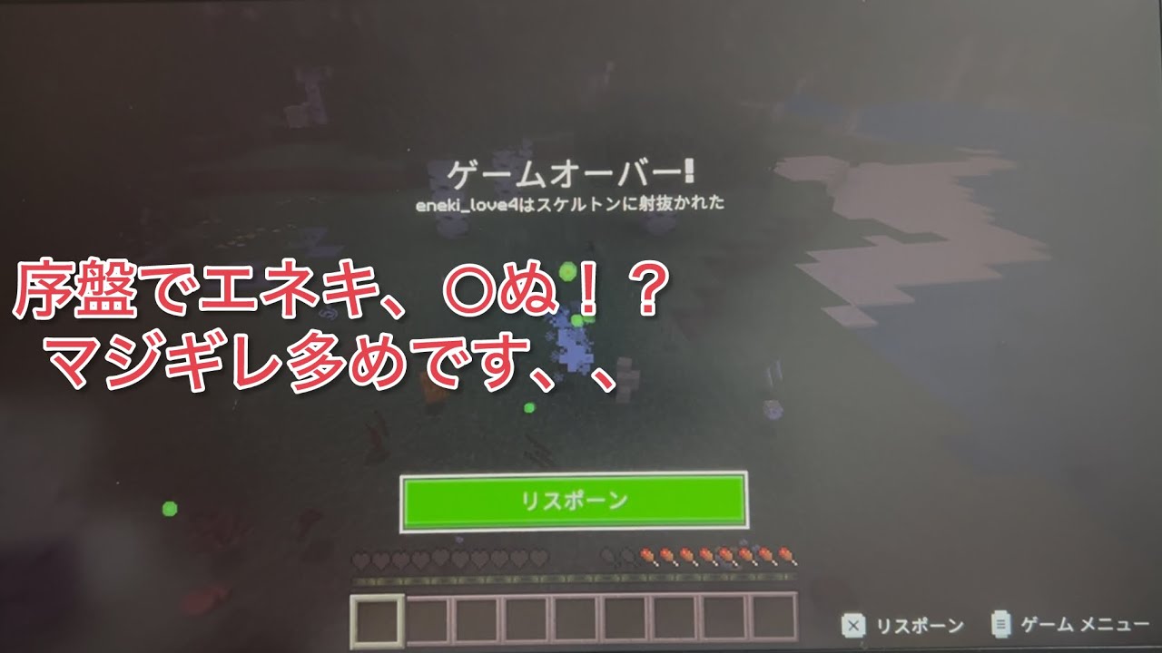 初めてのマイクラ　画質が悪いです