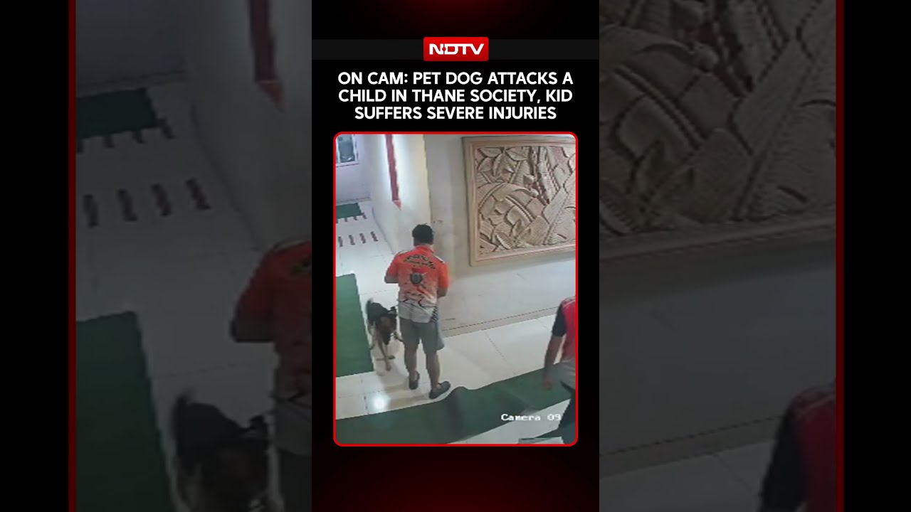 Maharashtra News | Pet Dog Mauls Child In Society In Kalyan, CCTV Footage Surfaces