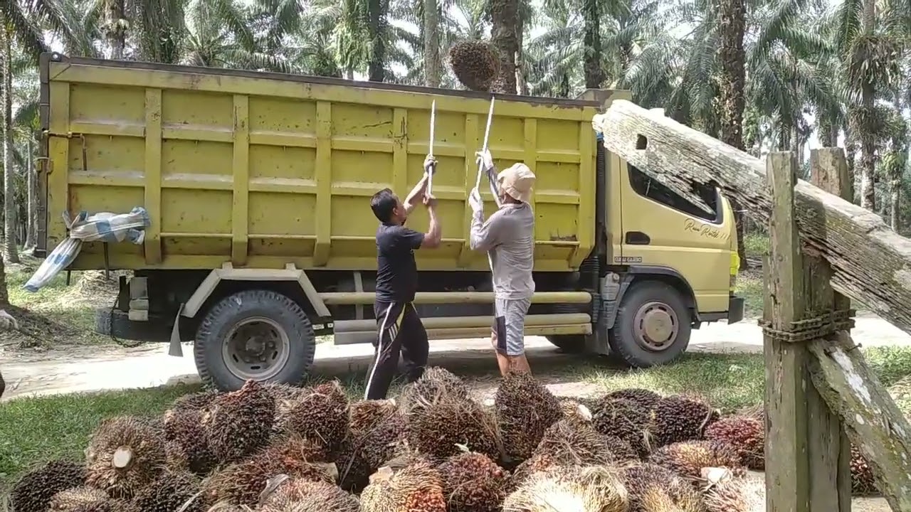 kerna ngk banyak yg manen muatan nya jadi dikit tetap bersyukur