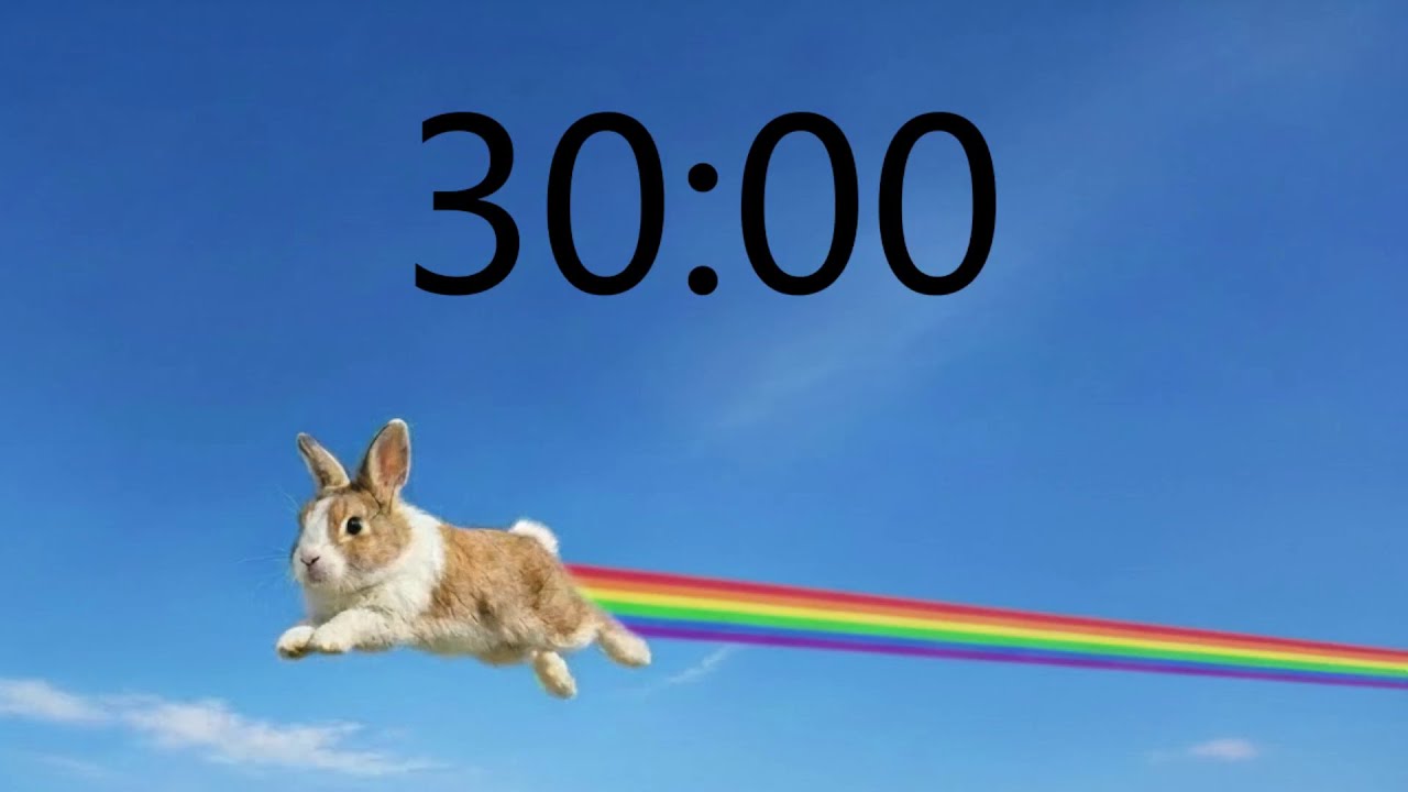 30 Minute Timer (INTENSE RABBIT MUSIC + Sound Notification at Zero)