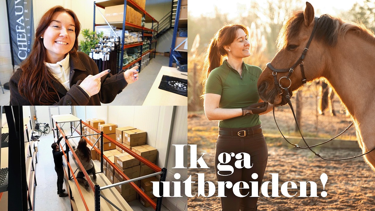 Een grote stap: mijn eigen bedrijfsruimte voor mijn paardenmerk! ❄️ Feline Fauve