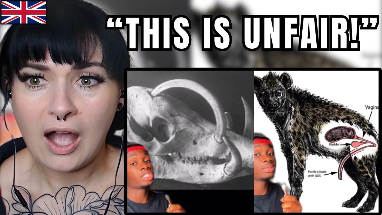 British Girl Reacts to Animals Evolution Forgot… This Is Brutal