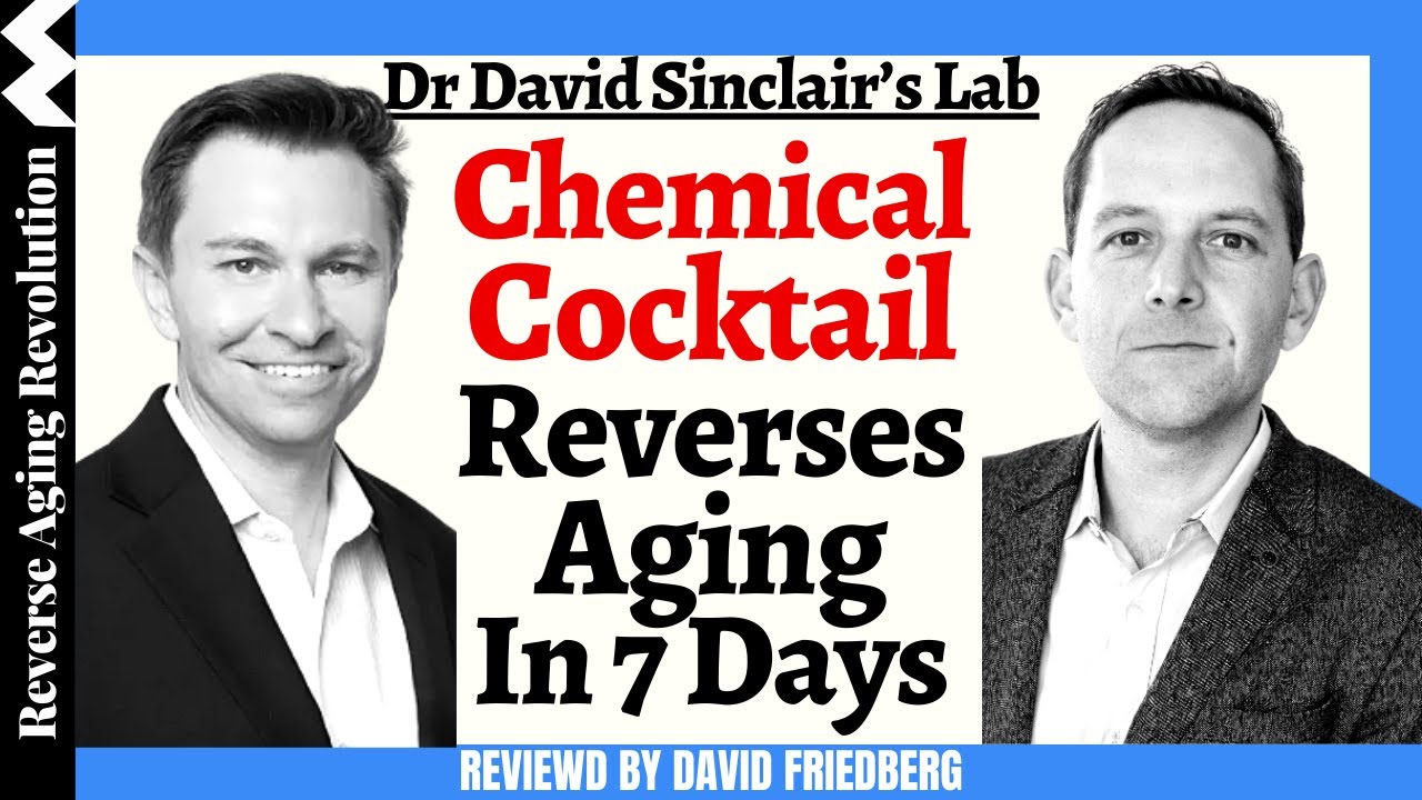 Dr David Sinclair Lab 