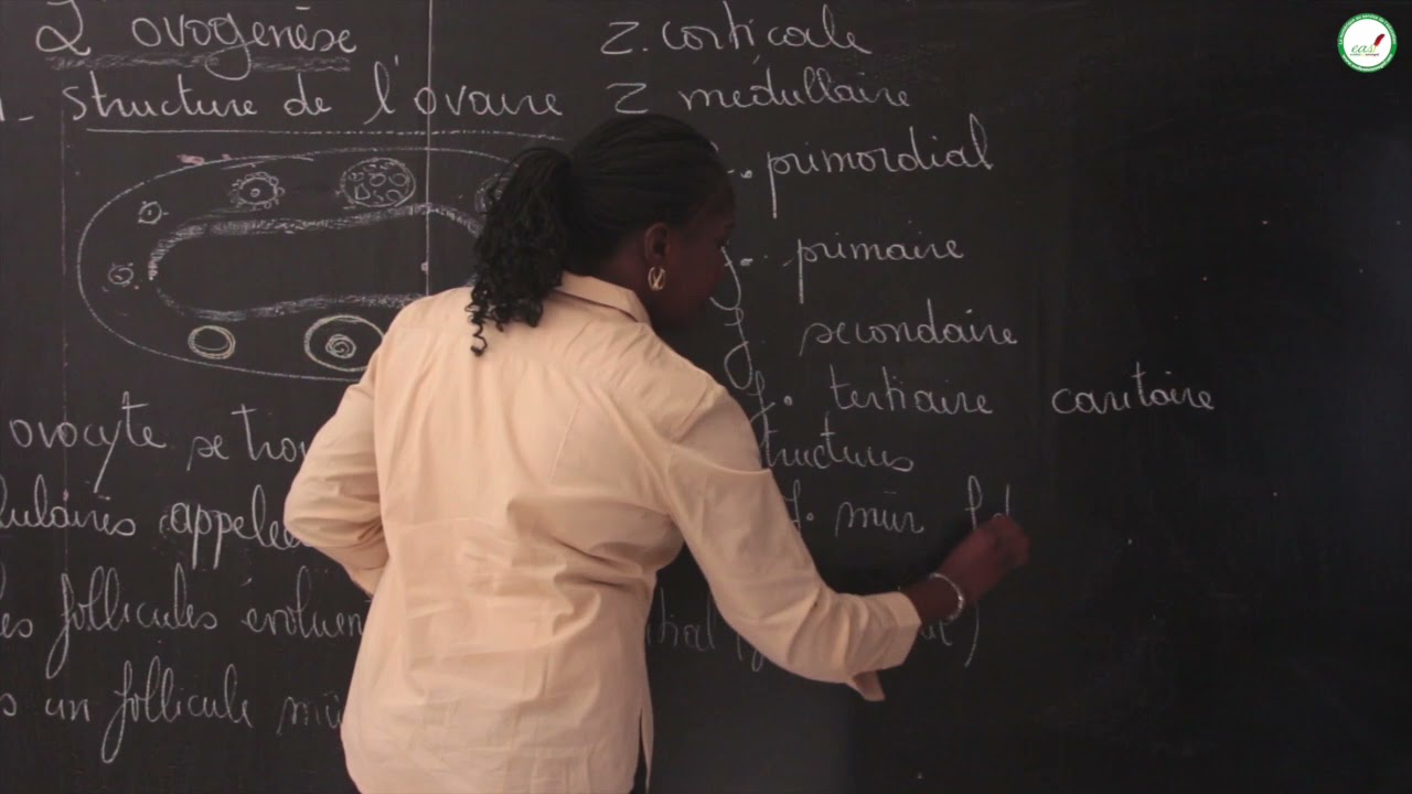 Cours - Terminale L - SVT : La gamétogénèse / Suite 1 / Madame Cissé