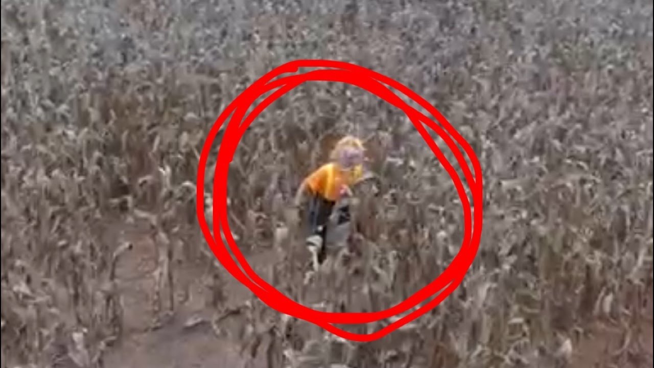 CORNFIELD CLOWN FOUND WITH DRONE!?!?