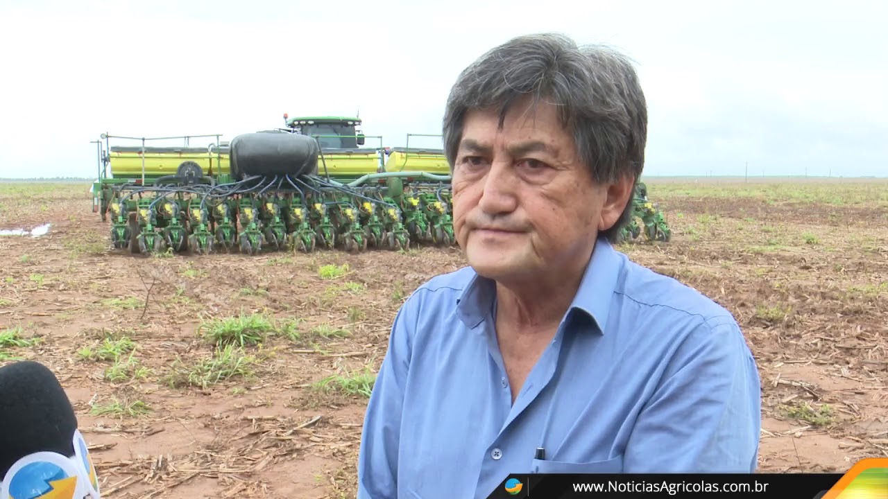 Produtor troca cultivo de soja na Bahia por Roraima para ampliar área de produção em processo de suc