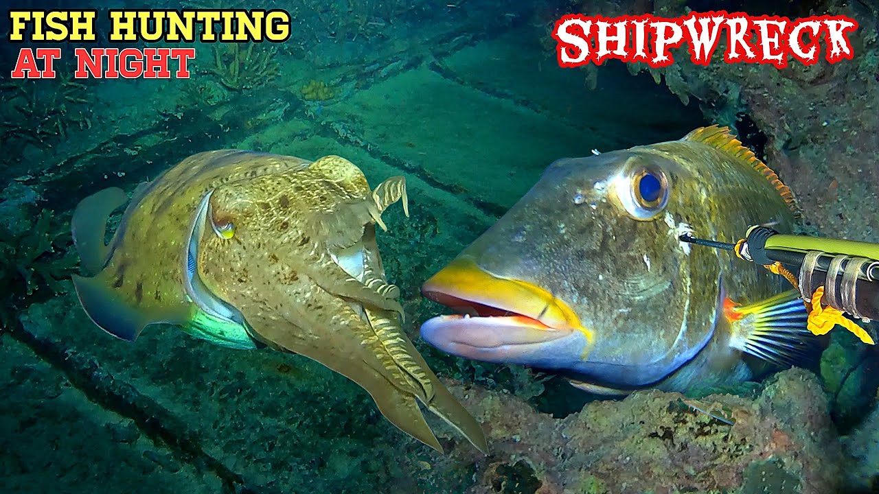 NIGHT SPEARFISHING EPISODE 181 | FISH HUNTING AT NIGHT