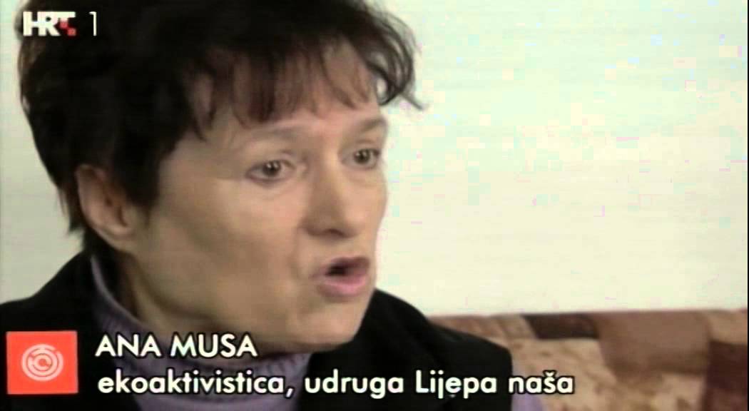 HTV Labirint:  Ploče