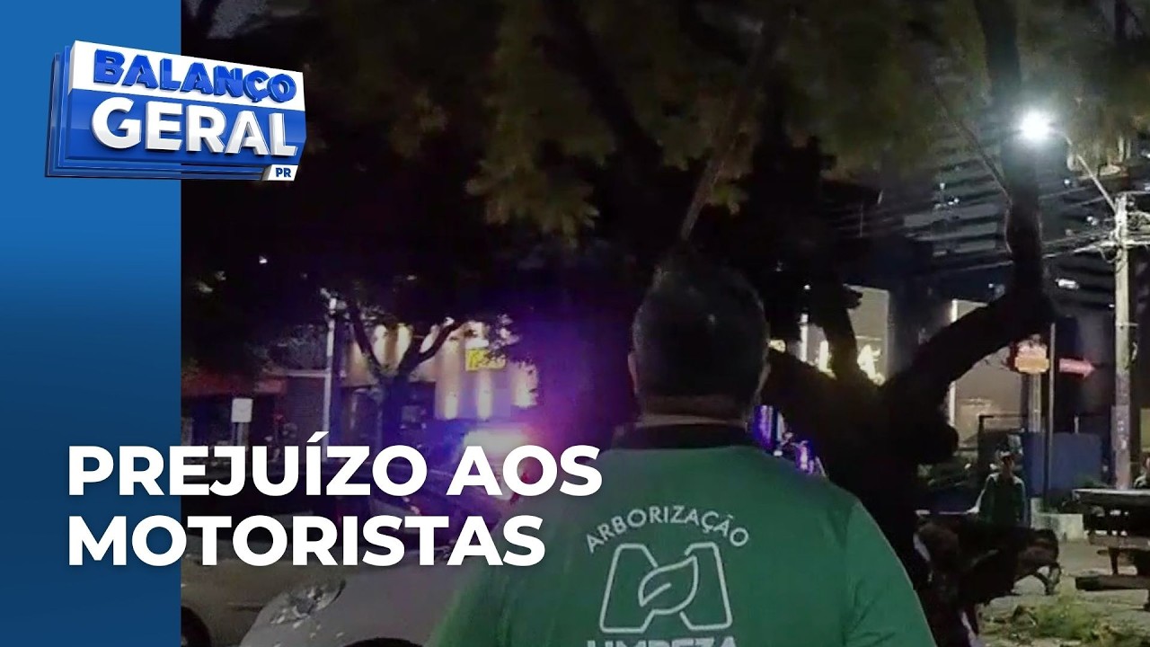 Vendaval derruba árvore sobre carros estacionados em avenida de Maringá