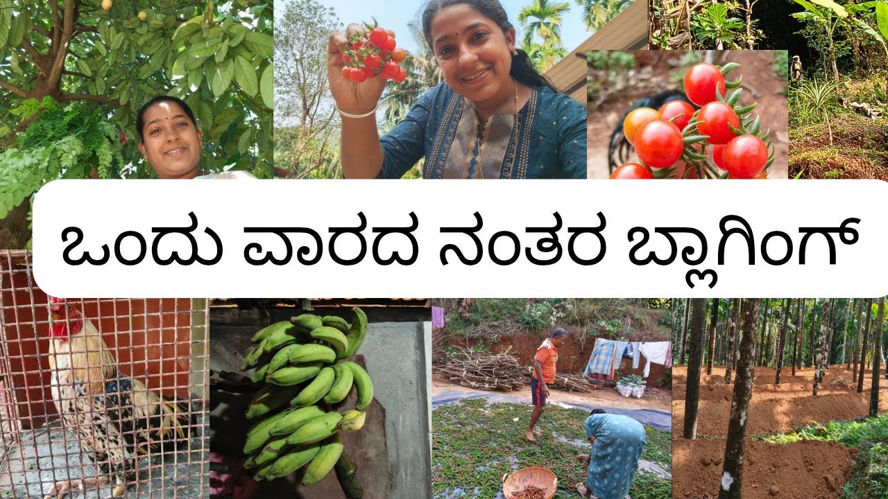 ಈ ಜ್ಯೂಸ್ ನಮ್ಮ ಆರೋಗ್ಯ ಚೆನ್ನಾಗಿ ಇರಿಸುತ್ತಾ ?