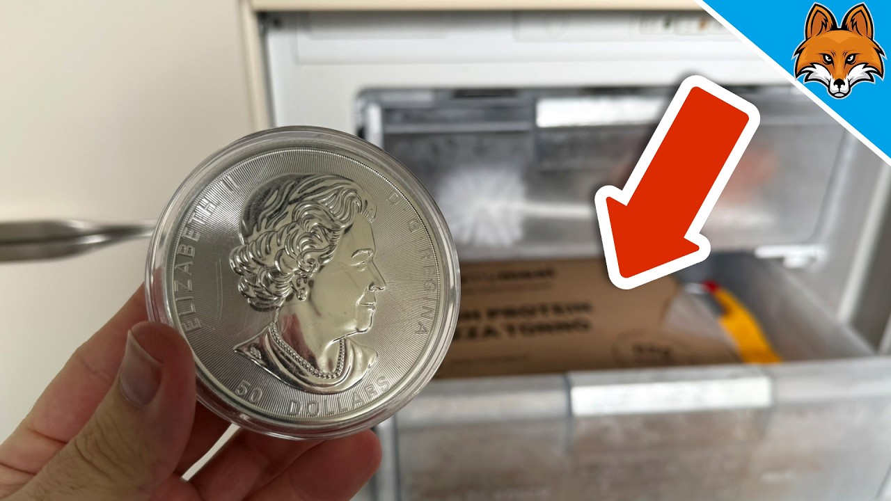 2 Gründe weshalb du IMMER eine Münze ins Gefrierfach legen MUSST💥(WICHTIG)🤯