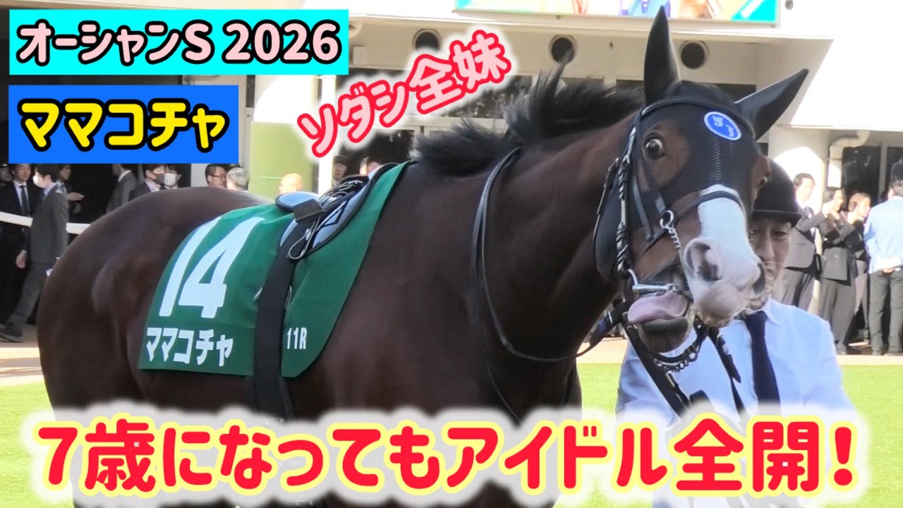 【オーシャンS 2026】7歳になっても元気一杯で競馬民を魅了するママコチャ