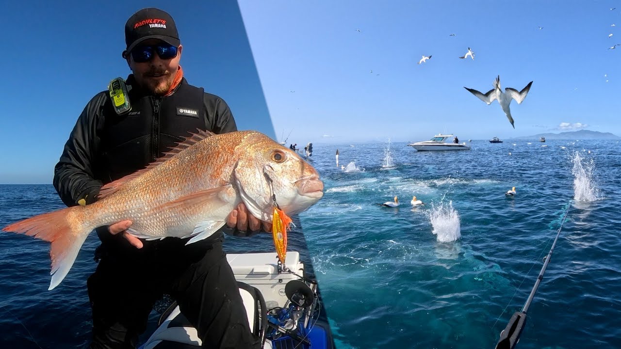 HUARAKI GULF WORK UPS - Jet Ski Fishing