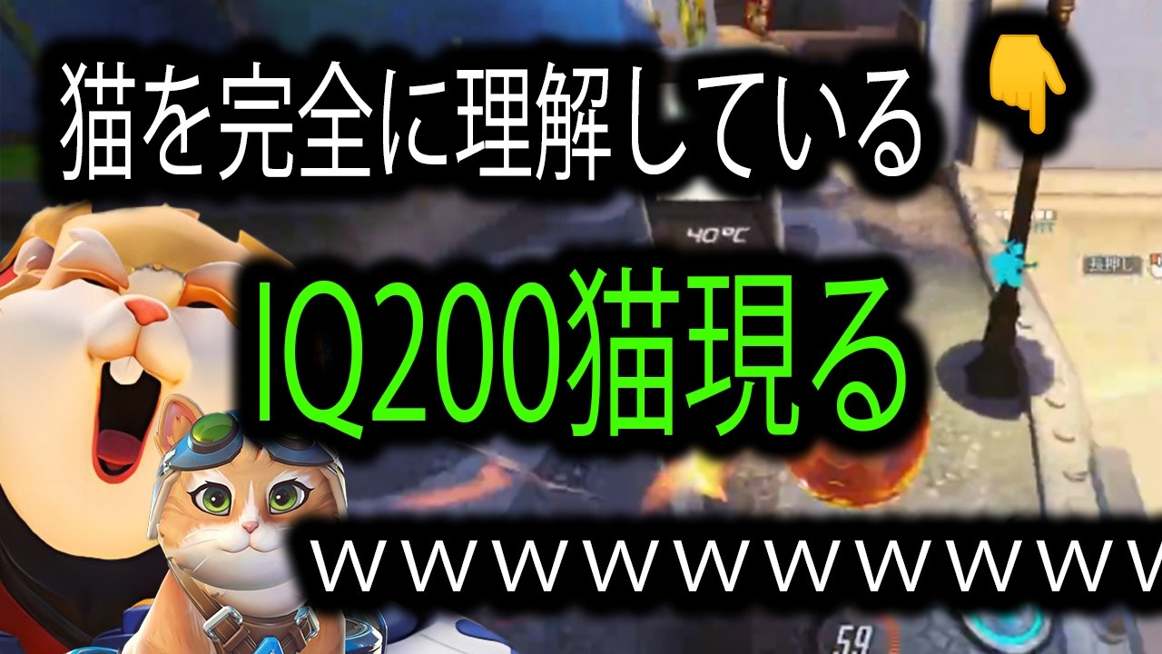 IQ200の野良猫現るｗｗｗｗｗｗ【レッキングボール】【オーバーウォッチ2】