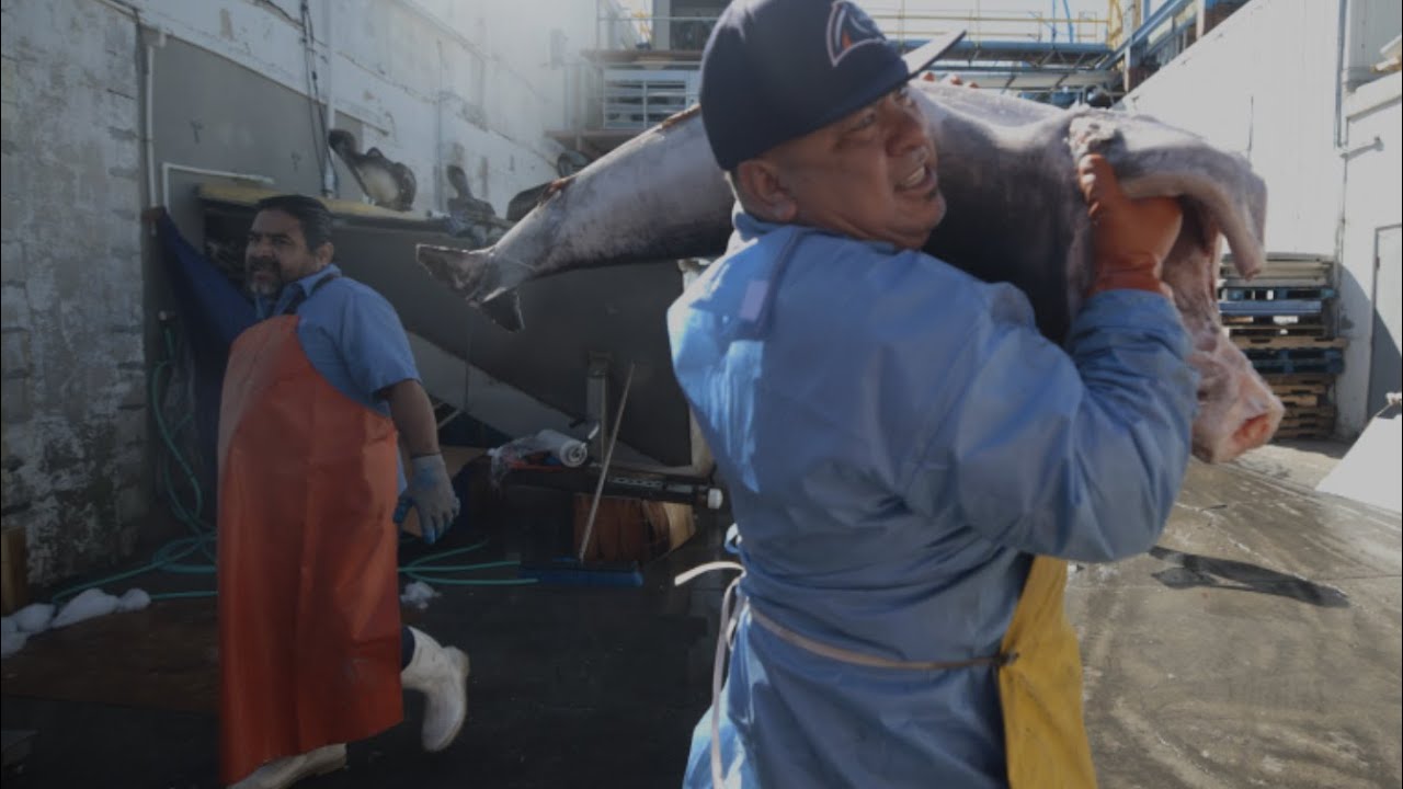 Cortez: Behind-the-scenes at one of Florida's most historic fishing village