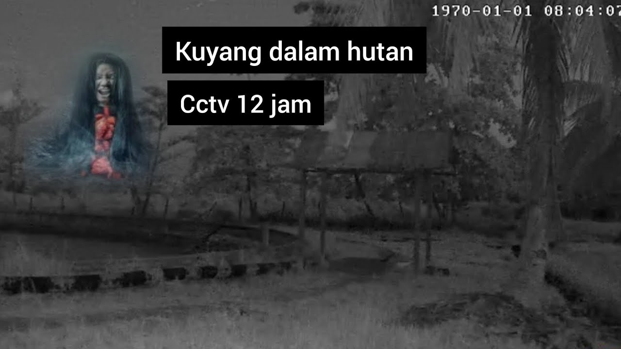 Eksperimen cctv 12 jam kuyang terbang dalam hutan belakang || cctv horor