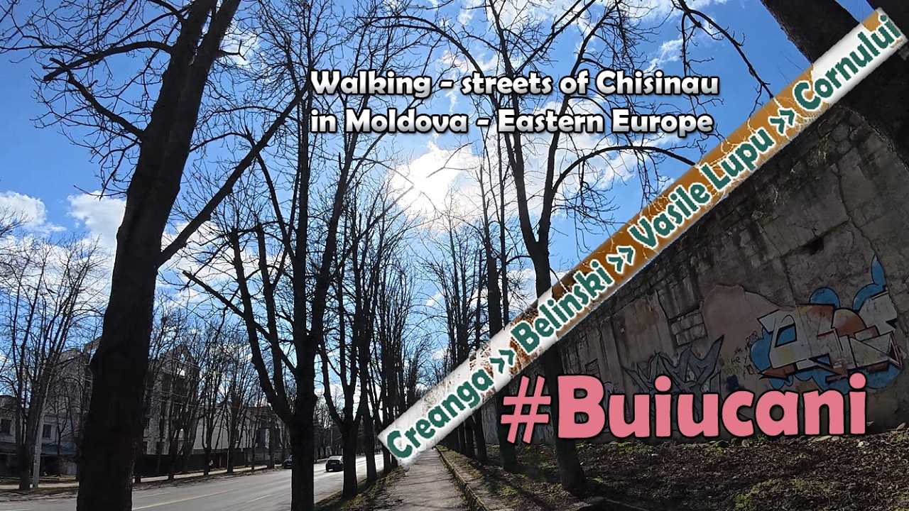 Creanga Belinsky Vasile Lupu Cornului #walking #mims 321 #Chisinau #Moldova March 6 2026