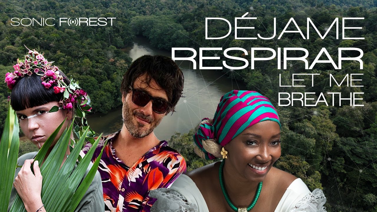 Bomba Estéreo ft. Nidia Góngora - Sonic Forest (Déjame respirar / Let Me Breathe)