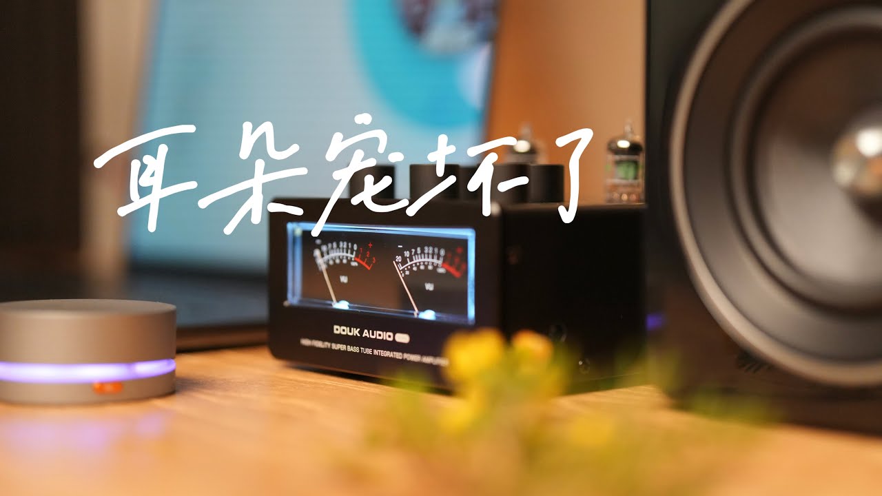 2K档表现惊喜！是我要的声音！｜Douk Audio T6 Pro复古蓝牙胆机功放｜Jamo C705书架音箱