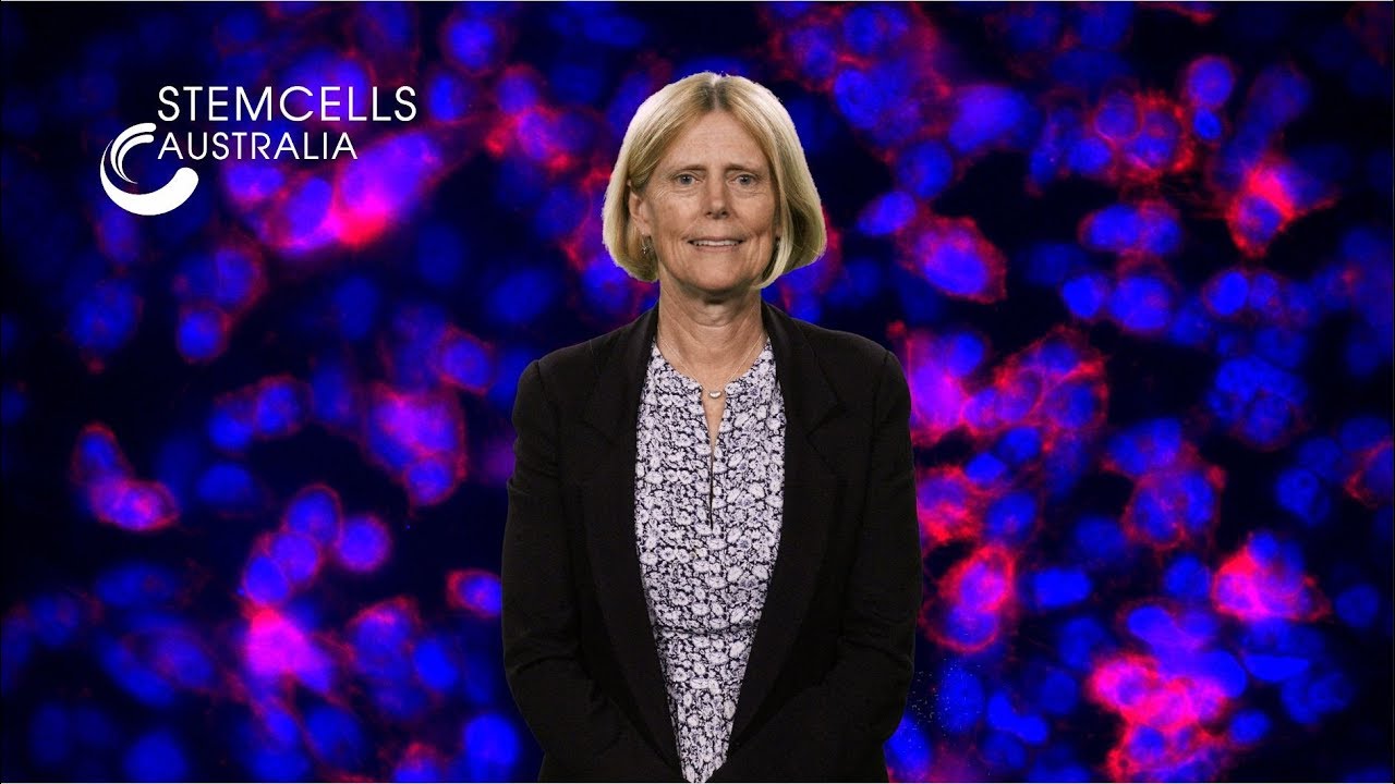 Professor Melissa Little - Welcome to Stem Cell Australia