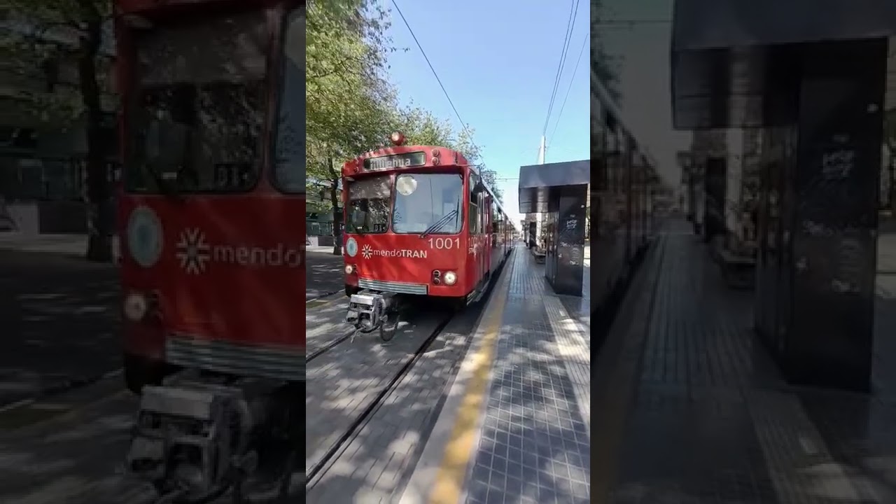 Mendoza train