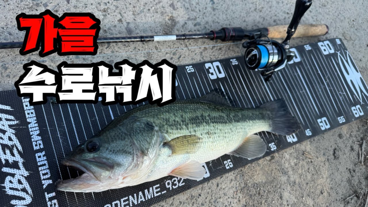 [배스] 가을 수로낚시(첫 끗빨이 댕끗빨)