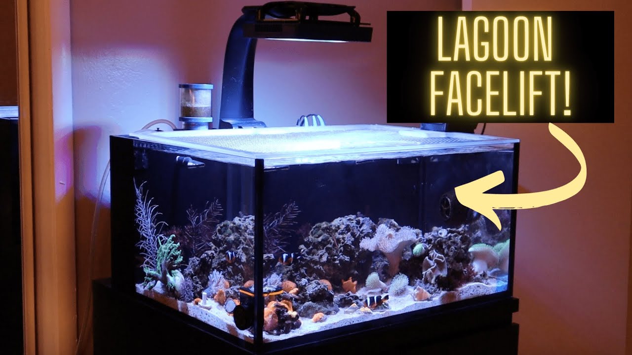 BIG Changes to the Lagoon Tank!