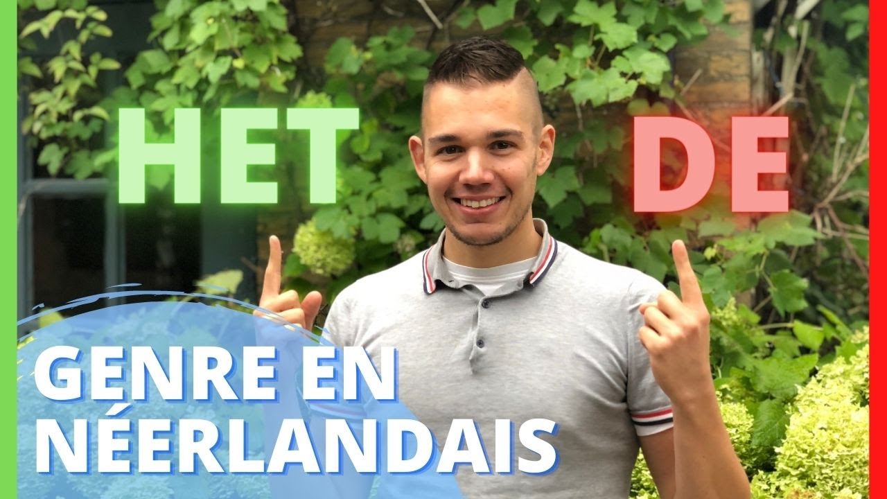 DE et HET 👀: le genre en néerlandais - plus jamais des doutes 😎! Apprendre le néerlandais