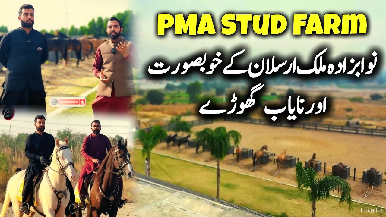 PMA Stud Farm - Nawabzada Malik Arslan ky Khubsorat or Nayab Ghory - Neza Bazi 2025