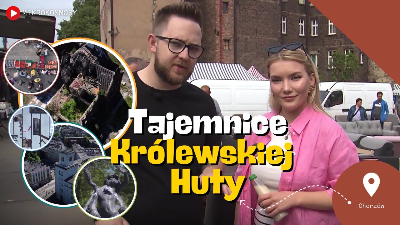 MIKROKOSMOSY: Posti, rzeźnia i chłopiec z łabędziem | #4