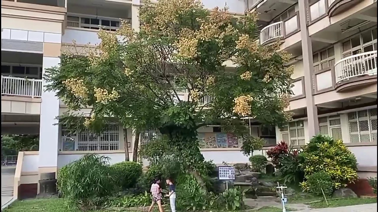 遠、中、近、特寫