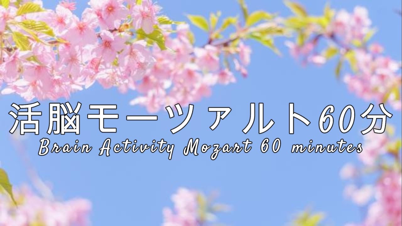 【受験生応援】活脳モーツァルト60分～Brain Activity Mozart 60 minutes