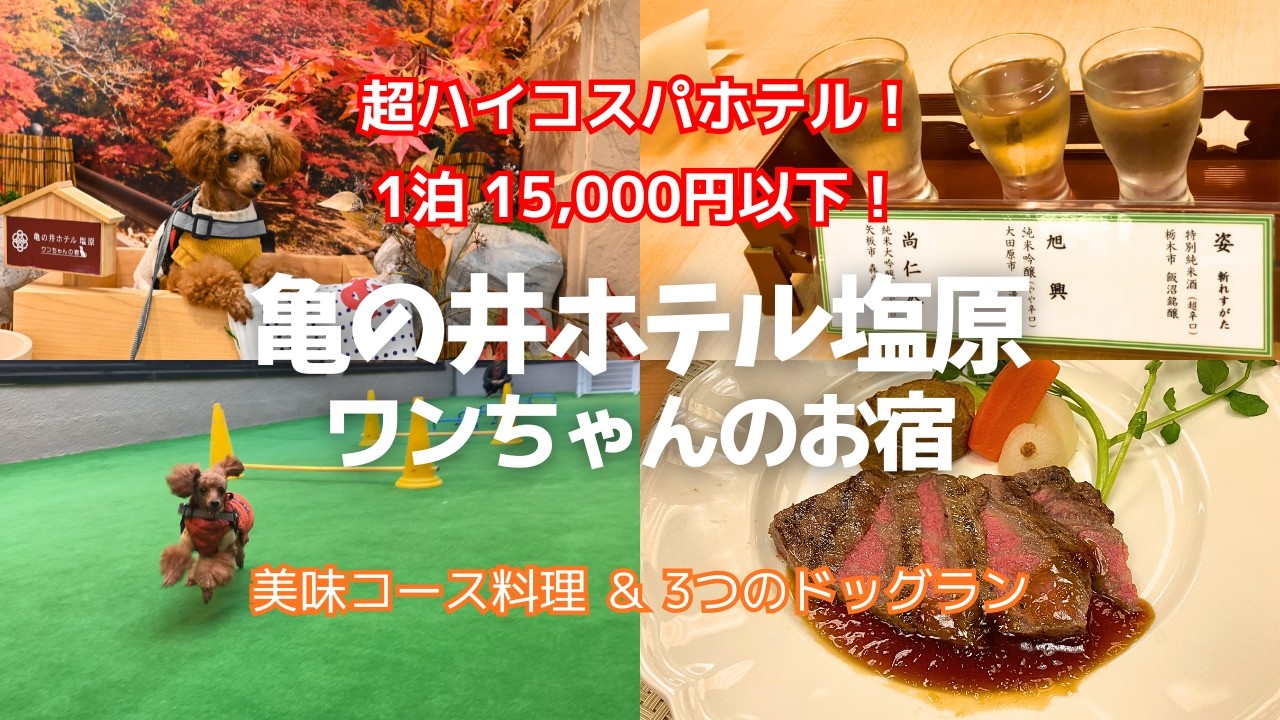 🐾【亀の井ホテル塩原 ワンちゃんの宿】1泊2日の犬連れ旅｜１泊15,000円以下のハイコスパ宿 | 3つのドッグラン＆洋風懐石が絶品