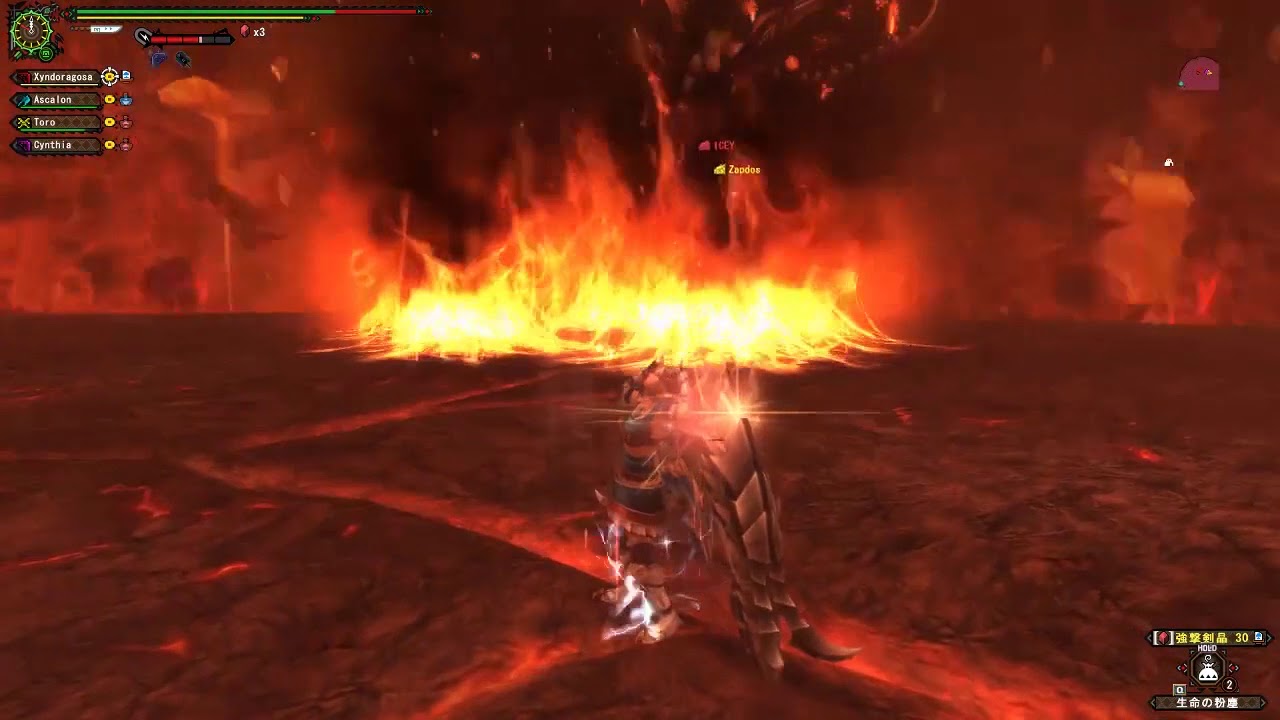 [MHFZZ] Lv9999 CRIMSON FATALISミラボレアス