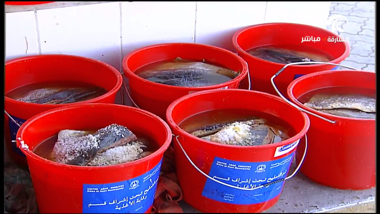 المالح وجبة تفوح برائحة ذكرى البدايات في الإمارات