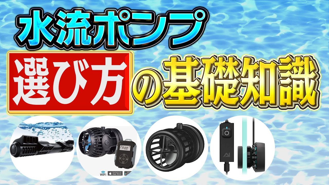 水流ポンプの選び方＆ポンプの基礎知識【2024年8月号 vol.2】