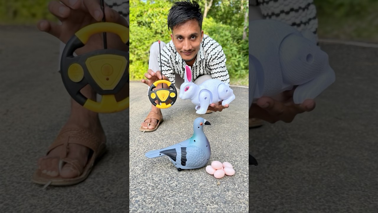 EGG Wala Birds and Remote Control Rabbit New Unboxing 🤑