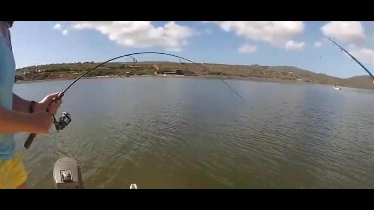 Big Grunter and Cob - Why the Breede River is so Special