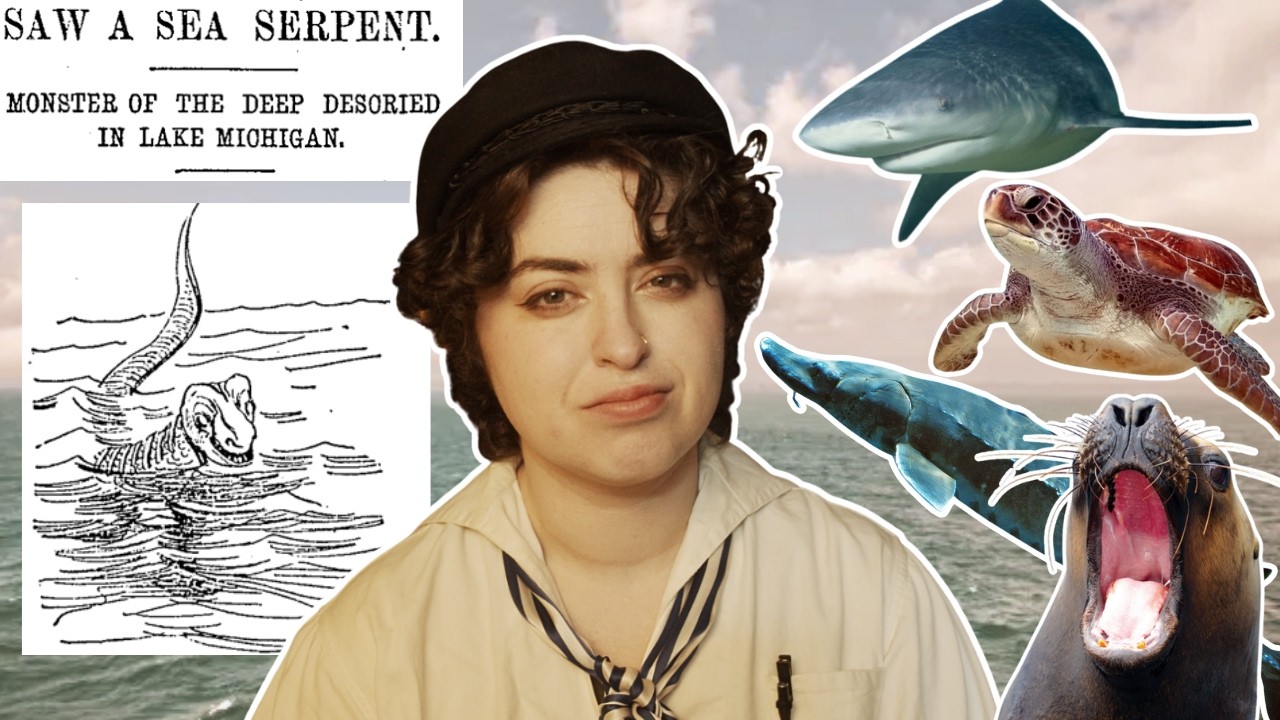 Is There Really A Sea Serpent In Lake Michigan?