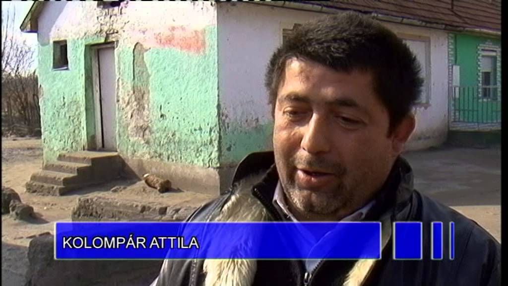 Indul az utcabizalmi hálózat (Halas Tv - Híradó - 2015.03.06.)