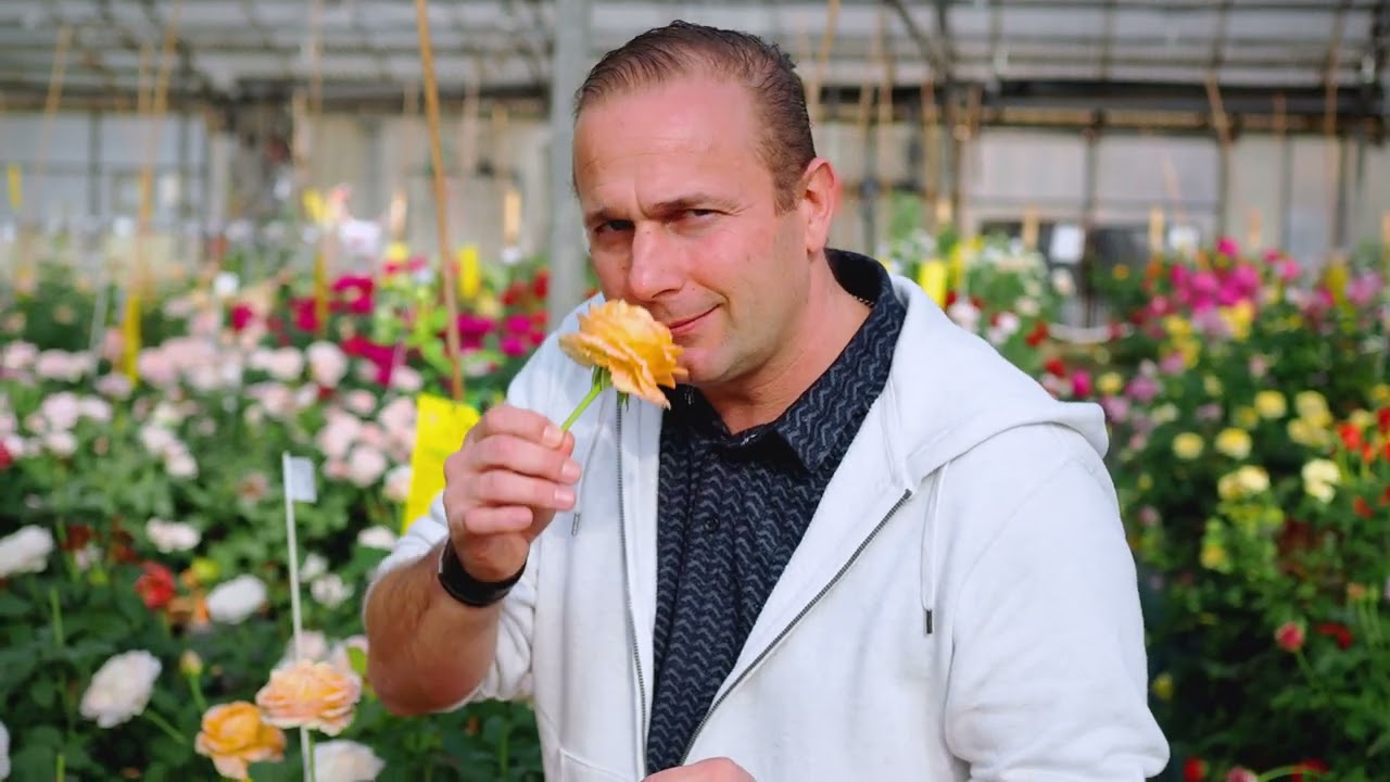 Visit our cut flowers greenhouse with Matthias Meilland
