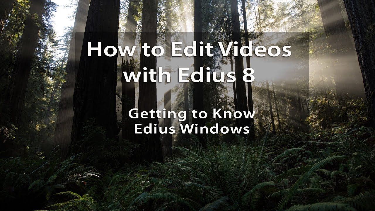 Edius 8 Tutorials - Lesson 2: Getting to Know Edius Windows