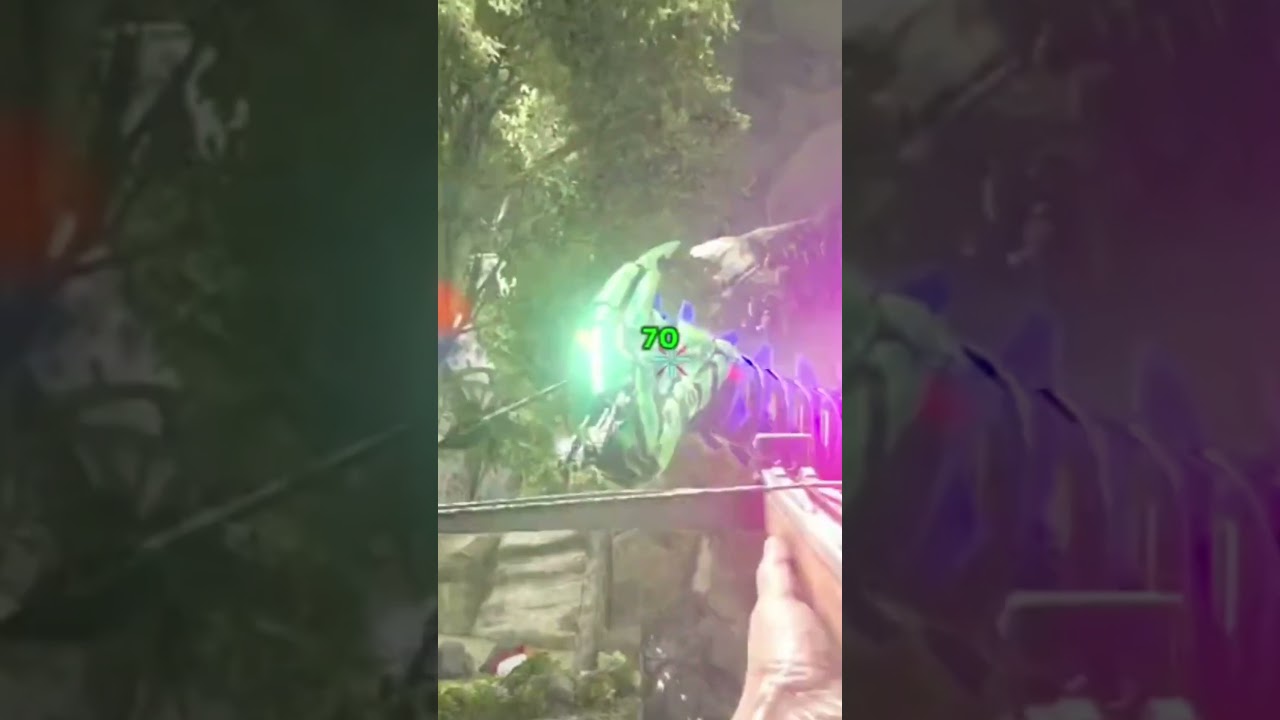 EASY PARASAUR TAME 