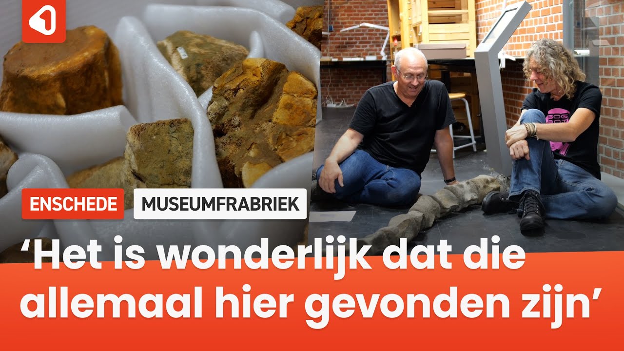 In Depot: Walvisbotten uit de tijd dat Delden aan zee lag